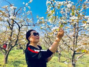 炎夏吃瓜 散文,炎炎夏日，瓜果飘香，清凉一夏