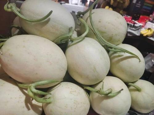 黄色瓜哪里吃,探寻黄色瓜的多样食用之道