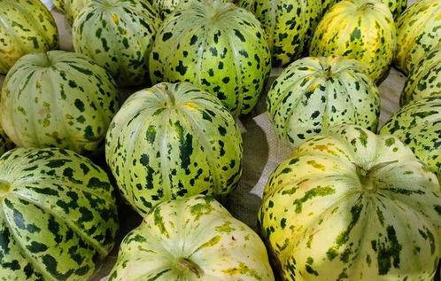 瓜直接吃的,尽享夏日清新美味