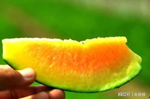 巧巧吃瓜,揭秘娱乐圈幕后故事