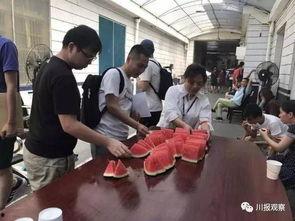 兰州吃瓜群众图片,吃瓜群众的欢乐时光