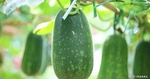 十一月吃瓜,盘点热点事件与幕后真相