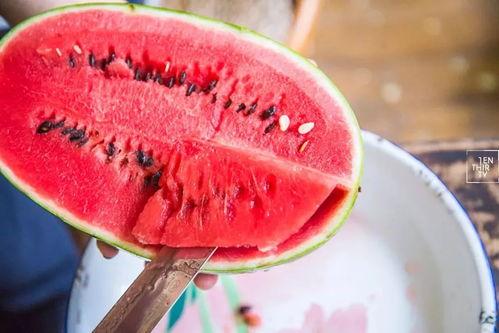 吃瓜81,一场全民参与的娱乐盛宴