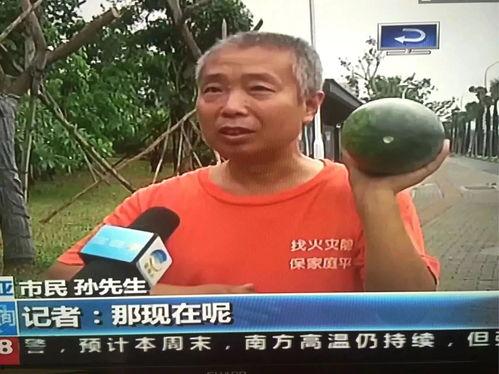 吃瓜群众竟是主角