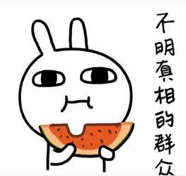 奇葩吃瓜文案搞笑句子,让你捧腹大笑