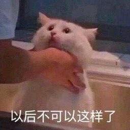 朝阳群众吃瓜6,揭秘京城街头的热辣故事