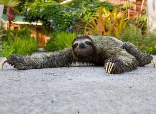 野生人类幼崽带你吃瓜,解锁夏日美味新体验