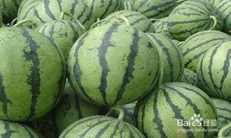 吃西瓜怎么挑好瓜,教你如何一眼挑出甜美佳品